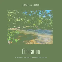 Liberation - Single by Joshua Long album reviews, ratings, credits