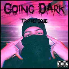 Going Dark - Single by TripTheFoolie album reviews, ratings, credits