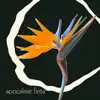Apocalisse Finta (single) [single] album lyrics, reviews, download