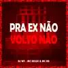 Pra Ex Não Volto Não song lyrics