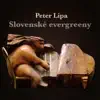 Slovenské Evergreeny album lyrics, reviews, download