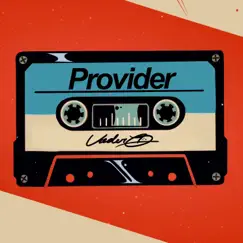 Provider - Single by Vader the Villin album reviews, ratings, credits
