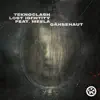Gänsehaut (feat. MEELA) [Extended Mix] song lyrics