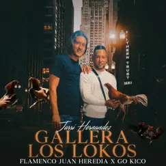 Gallera los Lokos - Single by Go Kico, Flamenco Juan Heredia & Jarri Hernandez album reviews, ratings, credits