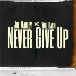 Never Give Up (feat. Will Cash) Song Lyrics