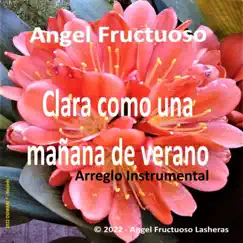 Clara como una mañana de verano (Arreglo Instrumental) [Arreglo Instrumental] - Single by Angel Fructuoso album reviews, ratings, credits