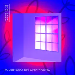 Marinero en Chapinero Song Lyrics