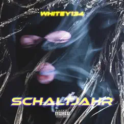 Schaltjahr Song Lyrics