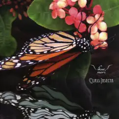 Class Insecta by Ikue Mori album reviews, ratings, credits