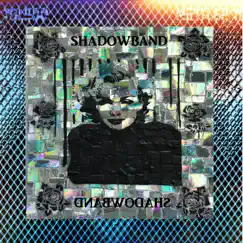 SHADOWBAND (rarities from 2010-2012) by Aaron Ross album reviews, ratings, credits