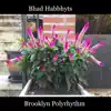 Brooklyn Polyrhythm album lyrics, reviews, download