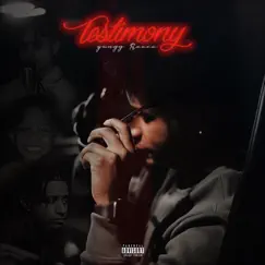 Testimony by Yungg Reece album reviews, ratings, credits