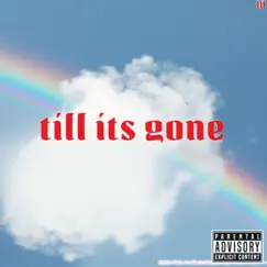 Till Its Gone (feat. DayDayDaRapper) Song Lyrics
