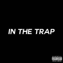 In the Trap 2 by In The Trap Records album reviews, ratings, credits