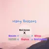 Many Reasons (feat. WiseJohn, Royal Crown, Wilmax, Pdatruth, Rhapture & Vocal goddess) [REMIX] - Single album lyrics, reviews, download