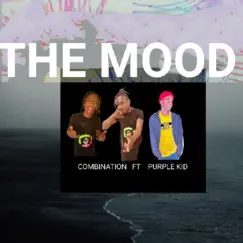 The Mood (feat. purplekid) - Single by Combination album reviews, ratings, credits