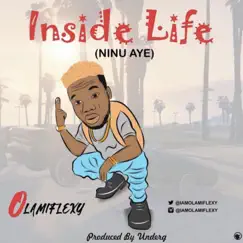 Inside Life - Single by Olamiflexy album reviews, ratings, credits