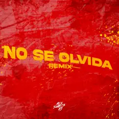 No Se Olvida (Remix) Song Lyrics