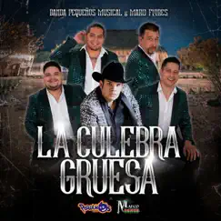 La Culebra Gruesa - Single by Banda Pequeños Musical & Marco Flores Y La Jerez album reviews, ratings, credits