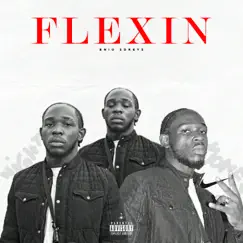 Flexin - Single by Enio Zdreyz album reviews, ratings, credits