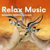 Beautiful Wildlife Animals and Relax Music album lyrics, reviews, download