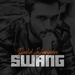 Swang - Single by David Shannon album reviews, ratings, credits