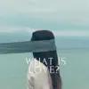 What Is Love? - Single album lyrics, reviews, download