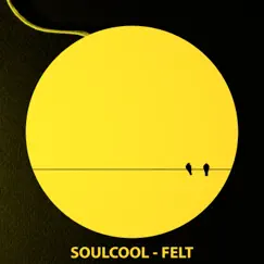 Felt - Single by Soulcool album reviews, ratings, credits