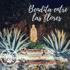 BENDITA ENTRE LAS FLORES by Luz De Alba album reviews, ratings, credits