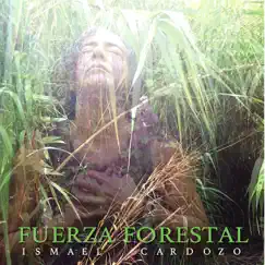 Fuerza Forestal Song Lyrics