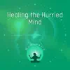 Healing the Hurried Mind - Late Afternoon Tai Chi, Stabilizing Your Thoughts, Balanced and Composed Dusk album lyrics, reviews, download