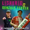 El Sonido De Gonzalito (feat. Gonzalo Ferrer) - Single album lyrics, reviews, download