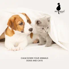 Dog Calming Music Song Lyrics