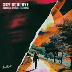 Say Goodbye Song Lyrics