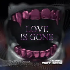 Love Is Gone (ICONIC X VH MIX) Song Lyrics