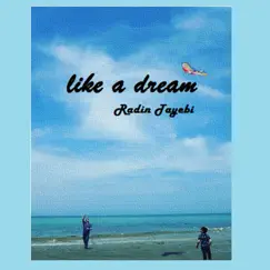 Like a Dream - Single by R D N album reviews, ratings, credits