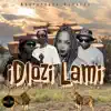iDlozi Lami (feat. Ex_Plosive, Bhinc'elihle, SickBoiNeezi & Mr Wish) - Single album lyrics, reviews, download