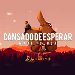 Cansado de Esperar - Single by Maxi Tolosa album reviews, ratings, credits