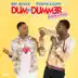 Dum and Dummer album cover