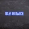 Hass im Bauch (Pastiche/Remix/Mashup) song lyrics