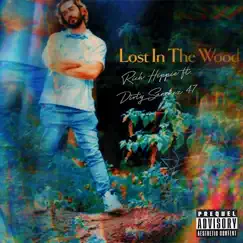 Lost In The Wood (feat. Dirty Sanchez 47) - Single by Rich Hippie album reviews, ratings, credits
