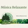 Música Relaxante (Hang Drum, Didgeridoo) album lyrics, reviews, download