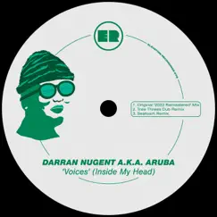 Voices (Inside My Head) - Single by Darran Nugent album reviews, ratings, credits