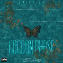 Cocoon Phase - Single by JoeyBags album reviews, ratings, credits