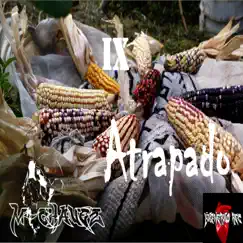 Atrapado - Single by M-Chavez album reviews, ratings, credits