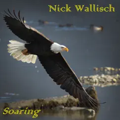 Soaring - Single by Nick Wallisch album reviews, ratings, credits