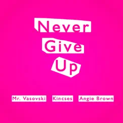 Never Give Up - EP by Mr. Vasovski, Kincses & Angie Brown album reviews, ratings, credits