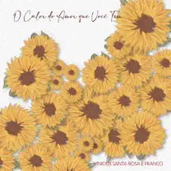 O Calor do Amor que Você Tem - Single by Vinícius Santa Rosa & Francci album reviews, ratings, credits