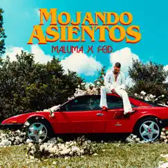Mojando Asientos (feat. Feid) Song Lyrics