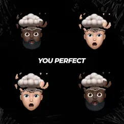 You Perfect - Single by Hkmk & Garey Godson album reviews, ratings, credits